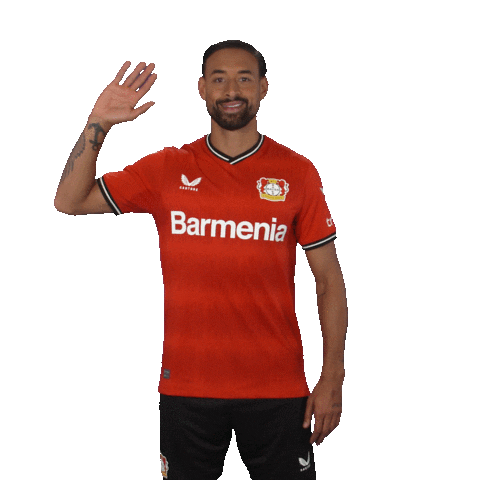 See You Goodbye Sticker by Bayer 04 Leverkusen