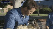 la GIF by MLB