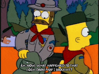 homer simpson GIF