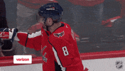 Happy Washington Capitals GIF by NHL