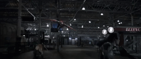 d4441 giphyupload GIF