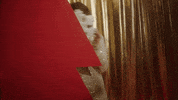 Mariah Carey GIF by VIPS
