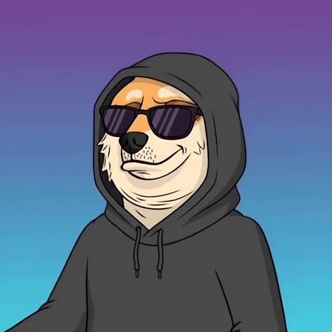 Shiba Inu Dog GIF by Doge Pound