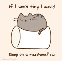 cat kitten GIF by Pusheen