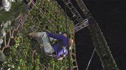 mazerunner GIF by mtv