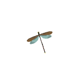 idea dragonfly Sticker by KAMI
