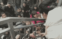 Star Fans GIF