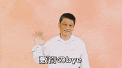红蜻蜓 GIF by Odonata Publishing