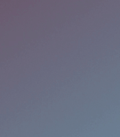 sorority GIF by Delta Gamma