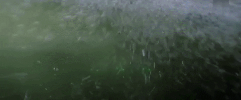 d4441 giphyupload GIF