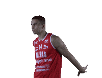 Basket_fi sport basketball hoops vikings Sticker