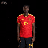 Fifa World Cup Uefa GIF by Respective
