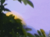 Martial Arts 80S GIF