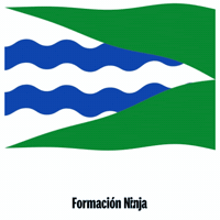 Castilla-La Mancha Flag GIF by Formación Ninja