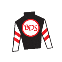 Horse Racing Sticker by Kentucky Derby