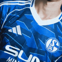 Football Soccer GIF by FC Schalke 04