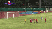 Singapore Premier League Goal GIF by 1 Play Sports