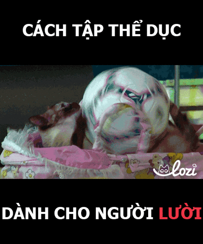 GIF by Lozi Singapore Co.