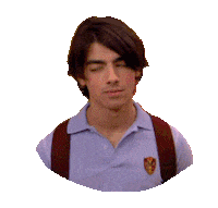 joe jonas whatever Sticker
