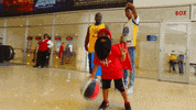 nba playoffs fun GIF by NBA