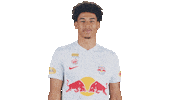 Football Thumbs Up Sticker by FC Red Bull Salzburg