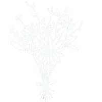 Plant Boho Sticker by eulenschnitt