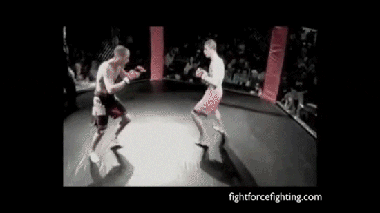 giphyupload GIF
