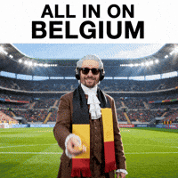 Belgium Football GIF