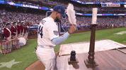 Los Angeles Dodgers Sport GIF by MLB