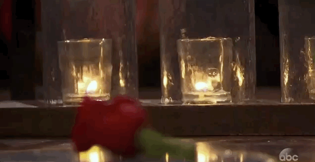 episode 1 rose GIF by The Bachelorette