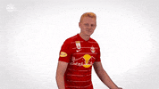 Celebrate Red Bull GIF by FC Red Bull Salzburg