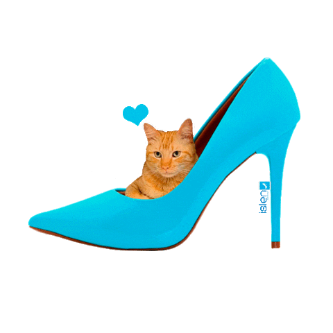 islencalcados giphyupload cat gato gatos Sticker