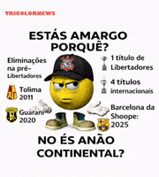 Copa Do Brasil Yuri GIF