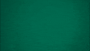 GIF by Ohio Bobcats