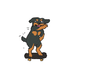 Skateboard Rollbrettrottweil Sticker by Lifeboy Skateshop Rottweil