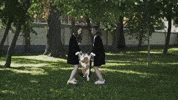cat dancing girl weird cats GIF