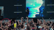 bonnaroo 2016 GIF by Bonnaroo Music and Arts Festival