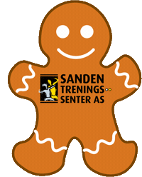 Sandengrafikk5 Sticker by Sanden Treningssenter