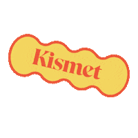 KismetPets john legend chrissy teigen kismet Sticker