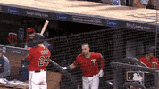 major league baseball sport GIF by MLB