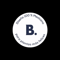 MuyBonito bonito sello muy bonito diseno mexicano GIF