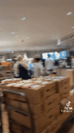 kellytraceygagnon giphygifmaker GIF