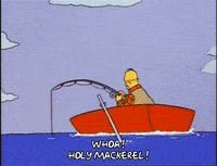 Season 2 Episode 20 GIF by The Simpsons