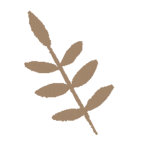 Flower Love Sticker