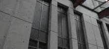 tennessee GIF