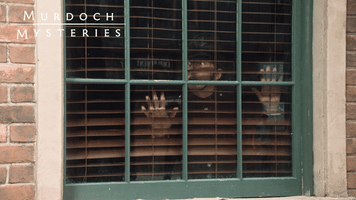 Watching Jonny Harris GIF by Murdoch Mysteries