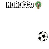 World Cup Football Sticker by Pudgy Penguins
