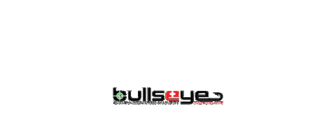 Big Fish Fishing Sticker by Bullseyefishing