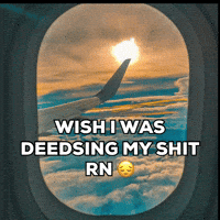 Flying Adam Sandler GIF by Respective