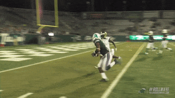 football touchdown GIF by GreenWave
